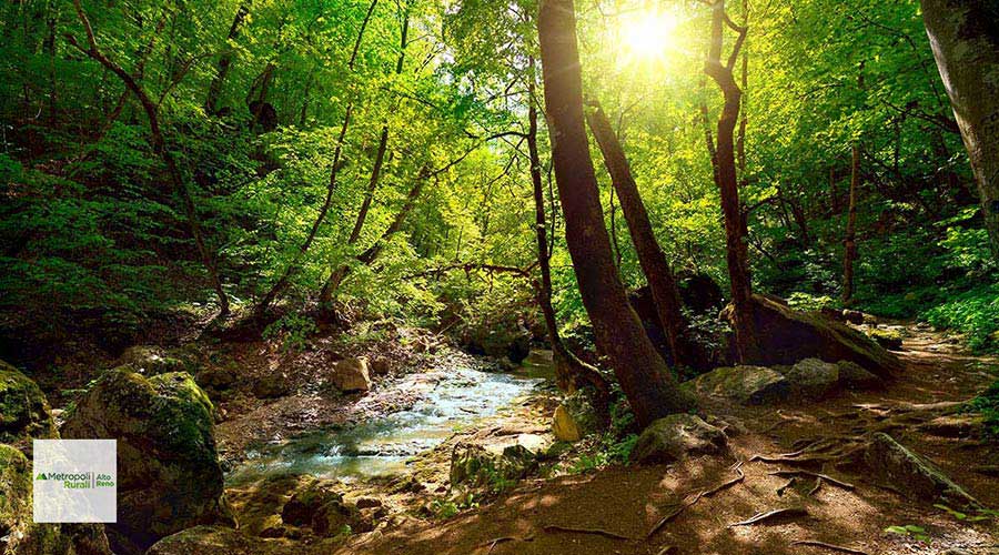 Cambiamenti climatici, cosa accade in montagna